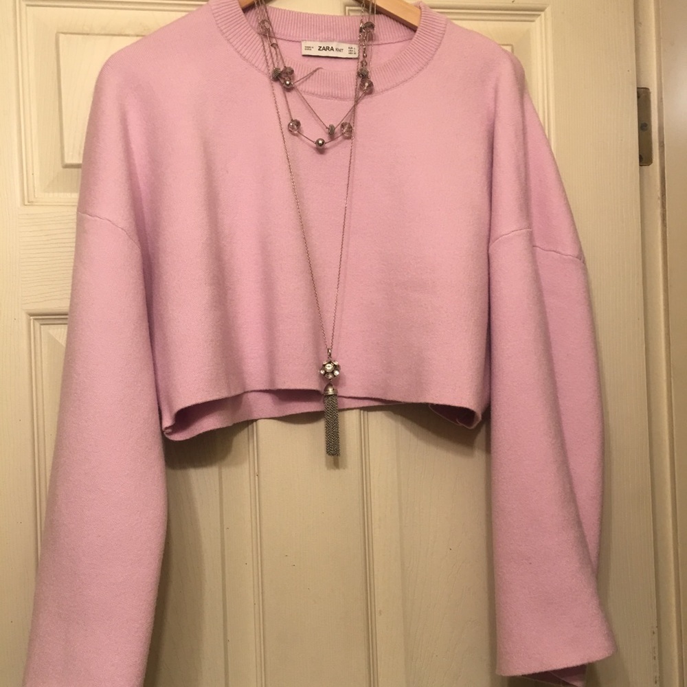 PRICE DROPPED ⬇️ Zara Crop sweater